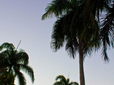 adam_gallagher_cabarete_blue-moon_palms_img_3454