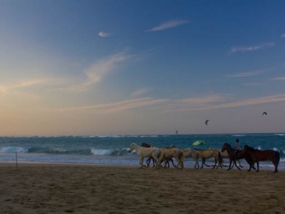 adam_gallagher_cabarete_caballos_mg_3079