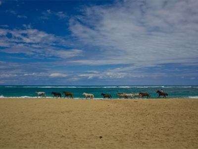adam_gallagher_cabarete_caballos_mg_3150