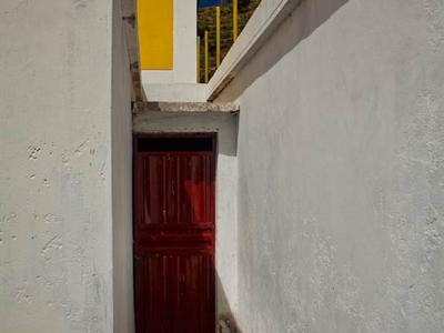 adam_gallagher_peru_1340