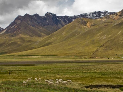 adam_gallagher_peru_1507