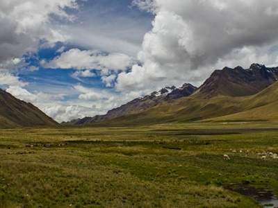 adam_gallagher_peru_1508