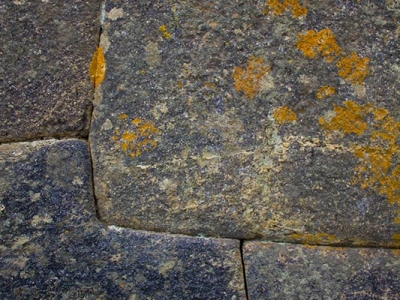 adam_gallagher_peru_1822