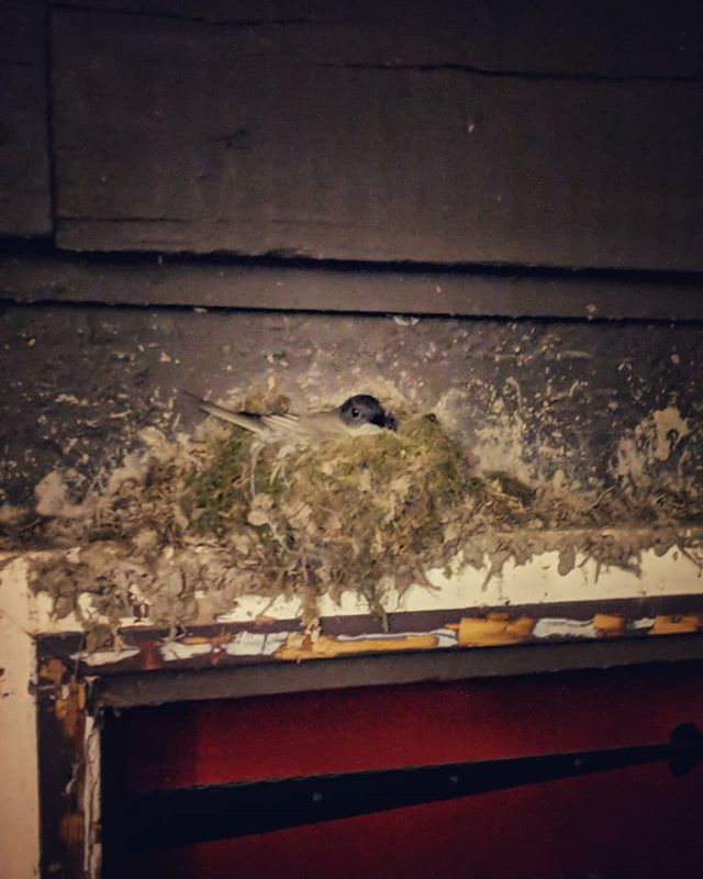 #houseGuests